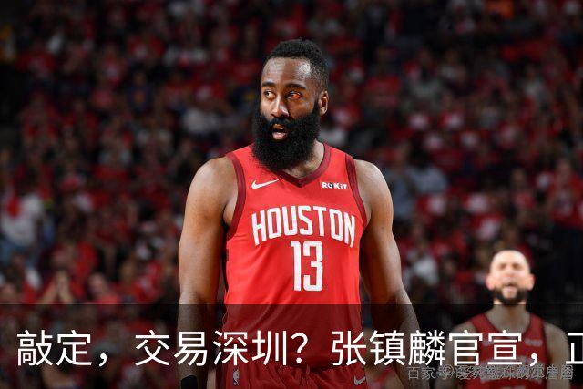 敲定，交易深圳？张镇麟官宣，正式签约，4年2400万，妻子支持
