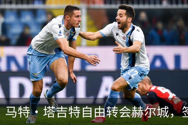 马特·塔吉特自由转会赫尔城，签约两年加一年选项
